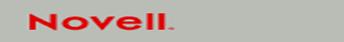 Certified Novell Engineer